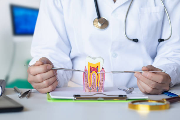 Best Emergency Treatment for Dental Infections or Abscesses in Lead, SD